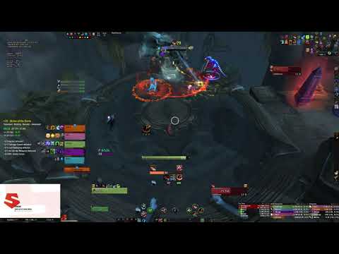 [20+] Shrine of the storm - #hunter #bm  #controller
