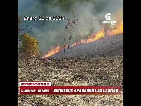 Incendio forestal consume varias hectáreas en Betania #conexiónsur
