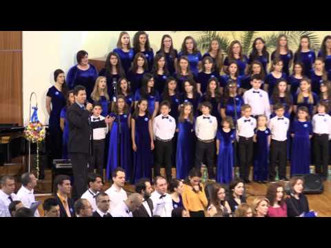 Flori si Stele & Sorin Goleanu - Voua, dragi copii