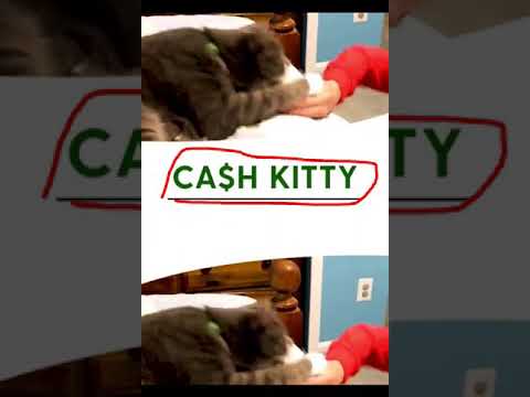 CA$H KITTY
