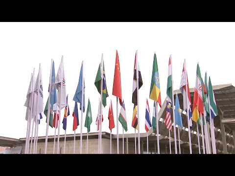 Embarking on BRICS' third 'Golden Decade'
