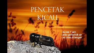 Download lagu Masteran Tembakan Jangkrik Jernih jeda gemericik air mp3 Download lagu Masteran Tembakan Jangkrik Jernih jeda gemericik air mp3