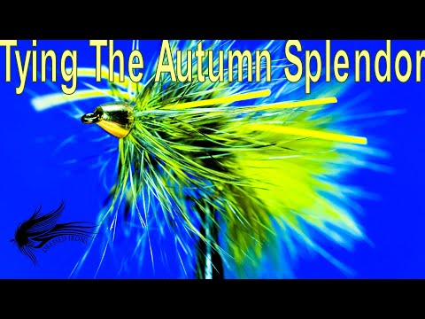 Tying The Autumn Splendor