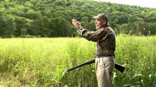 Dove Season Pointers and a Cooking Tip - Bird Hunting Tip