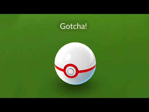 MEU MAIS NOVO LENDÁRIO 100% NO POKÉMON GO... BRILHOU? 👀✨