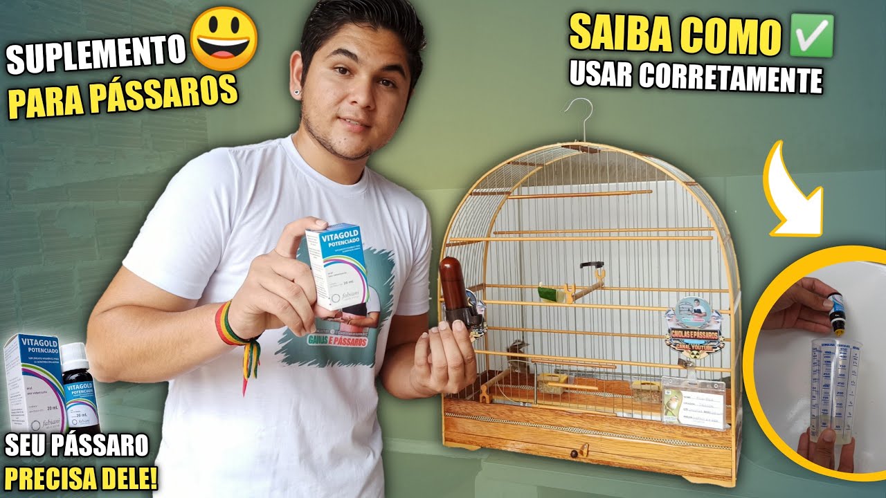 Pra que serve o VITA GOLD POTENCIADO❓| E como usar de maneira correta! ✅