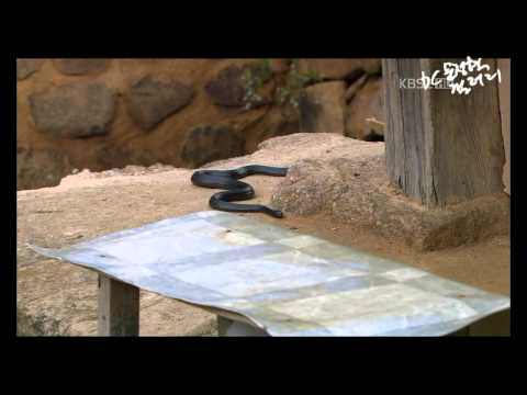 110718. 스파이명월.E03