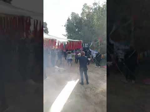 Viva la trance 🕉⚡🌈