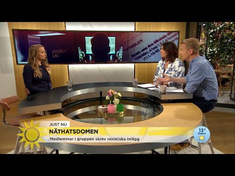 Därför ligger ansvaret på Facebookgruppens moderator: ”Man tittar på vem som f… - Nyhetsmorgon (TV4)