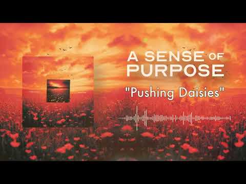A Sense of Purpose - Pushing Daisies (Official Stream Video)