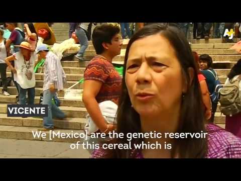 Facebook AJ+   400 Global Cities Vs  Monsanto