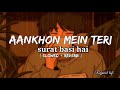 Aankhon Mein Teri Surat Basi Hai Slow Reverb Sing Lofi Remix Rajpootlofi Treanding Songs