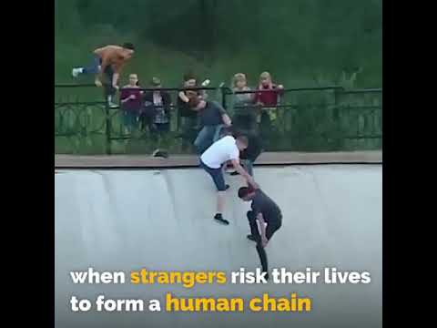 Giving there life for dog which is in danger ..........