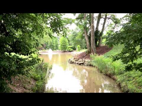 Preview | Landscape Painting in Pastel: Plein Air with Liz Haywood-Sullivan