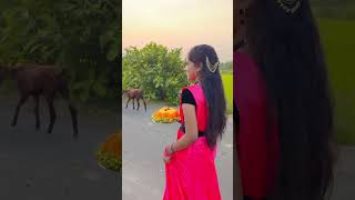 Download lagu Vennelochhindhiraa🥰//short videos//viral shorts//junnu shorts//junnu Videos//Minnu shorts mp3 Download lagu Vennelochhindhiraa🥰//short videos//viral shorts//junnu shorts//junnu Videos//Minnu shorts mp3