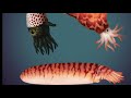 Octopus Evolution video