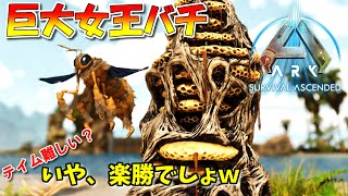 【ASA：The Island】【PS5】#12 巨大女王バチのテイム？そんなの楽勝でしょｗ 【ARK Survival Ascended】