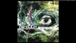 Pendulum &amp; Freestylers - Painkiller