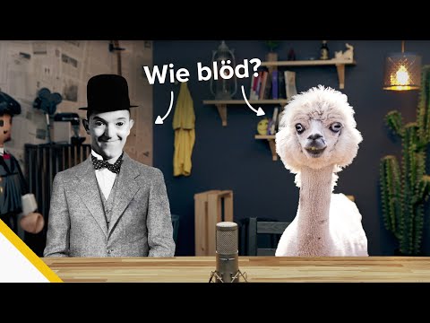 Wie BLöD muss man sein, um DAS zu GLAUBEN?