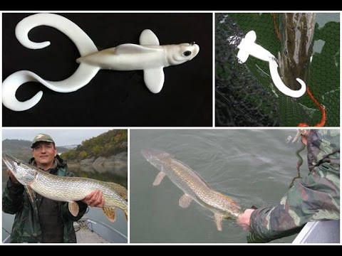 Guide service con Cristiano