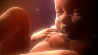 C-kan  dejame conocerte