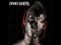 David guetta - You are the music - SdrannocS David guetta - You are the music
