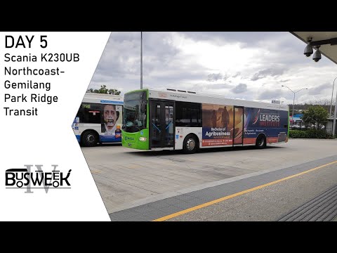 Busweek 4 Day 5 Park Ridge Scania K230UB (Northcoast-Gemilang)