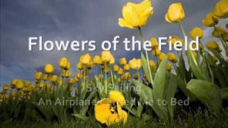 Flowers of the Field by Sky Sailing *with lyrics*