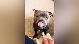 Download lagu Thankyou so much for 50 k followers:) mp3