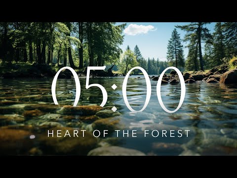 Forest 🌲 5 Minute Countdown Timer with Calm and Relaxing Music + Soothing Alarm + Scenic Nature Film