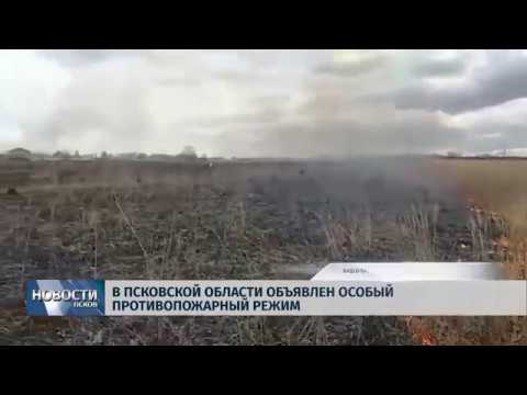 10.04.2019 / В Псковской области объявлен особый противопожарный режим
