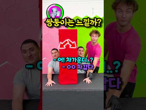 쌍둥이는 닿지 않아도 느껴질까?