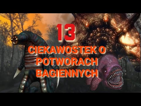 13 CIEKAWOSTEK O POTWORACH BAGIENNYCH - WIEDŹMIN