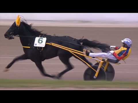 Napoli Trotto 01/05/2024 - 2ª corsa - 75° GRAN PREMIO LOTTERIA - 1° batteria