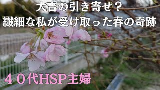 ４０代HSP主婦の日常／引き寄せの法則／iPadで動画編集／桜🌸から得られるHappyな予感🎈