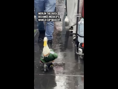 Merlín the duck becomes Mexico's World Cup mascot