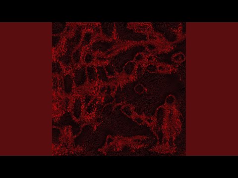 Derin (Original mix)