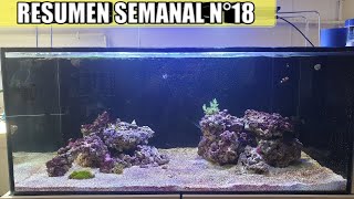 ✅ RESUMEN SEMANAL Nº18 (NUEVOS CAMBIOS)