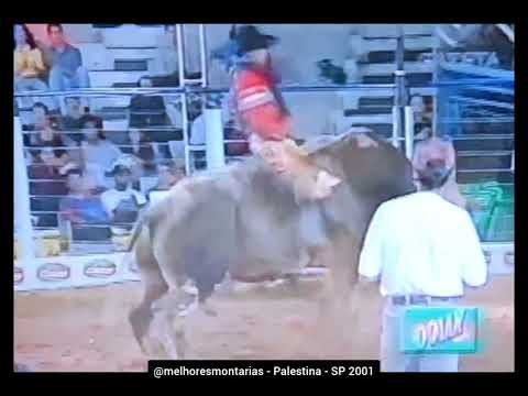 🇧🇷 Rogério Ferreira dos Santos x Ninho de Cobra - Palestina 2001 | Campeão do Rodeio 🏆 #rodeio