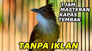 Download lagu MASTERAN SUARA BURUNG KAPAS TEMBAK GACOR 1 JAM TANPA IKLAN COCOK BUAT PANCINGAN / MASTERAN mp3 Download lagu MASTERAN SUARA BURUNG KAPAS TEMBAK GACOR 1 JAM TANPA IKLAN COCOK BUAT PANCINGAN / MASTERAN mp3