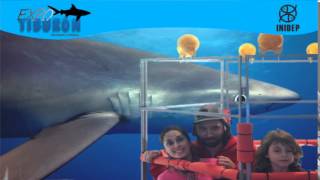 DIA 3 Expo Tiburon50