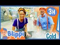 Discovery Cube #1 | Blippi and Meekah Best Friend Adventures | Educational Videos for Kids