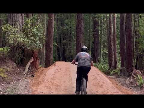Incredible Jump Trail in Arcata, CA || Jump Trail and Lorax
