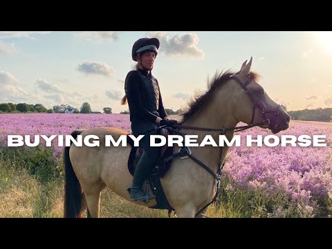 BUYING MY DREAM HORSE!