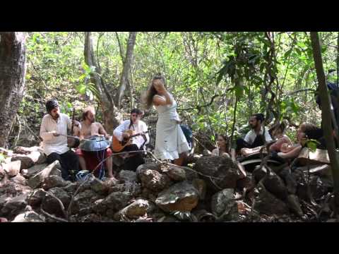 Davide Swarup and Arambolla - "THE BANYAN TREE",  Dreamland (Live in the Jungle) - Handpan Music