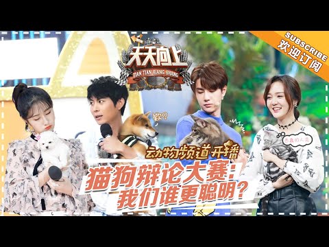 《天天向上》20181014期：萌物做客“天天动物幼儿园” 卢靖姗艾伦讲述暖心宠物故事 Day Day Up【湖南卫视官方频道】