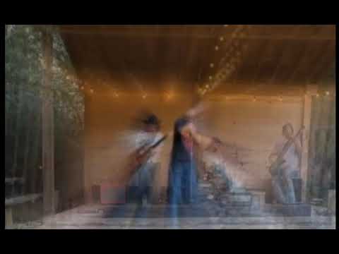 Trash Wizard "Damned Ole Wizard"