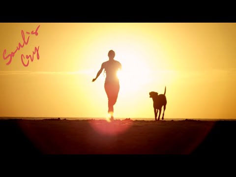 Soul`s Cry - My Four Legged Friend  // Alternative Rock 2025 // Official Music video