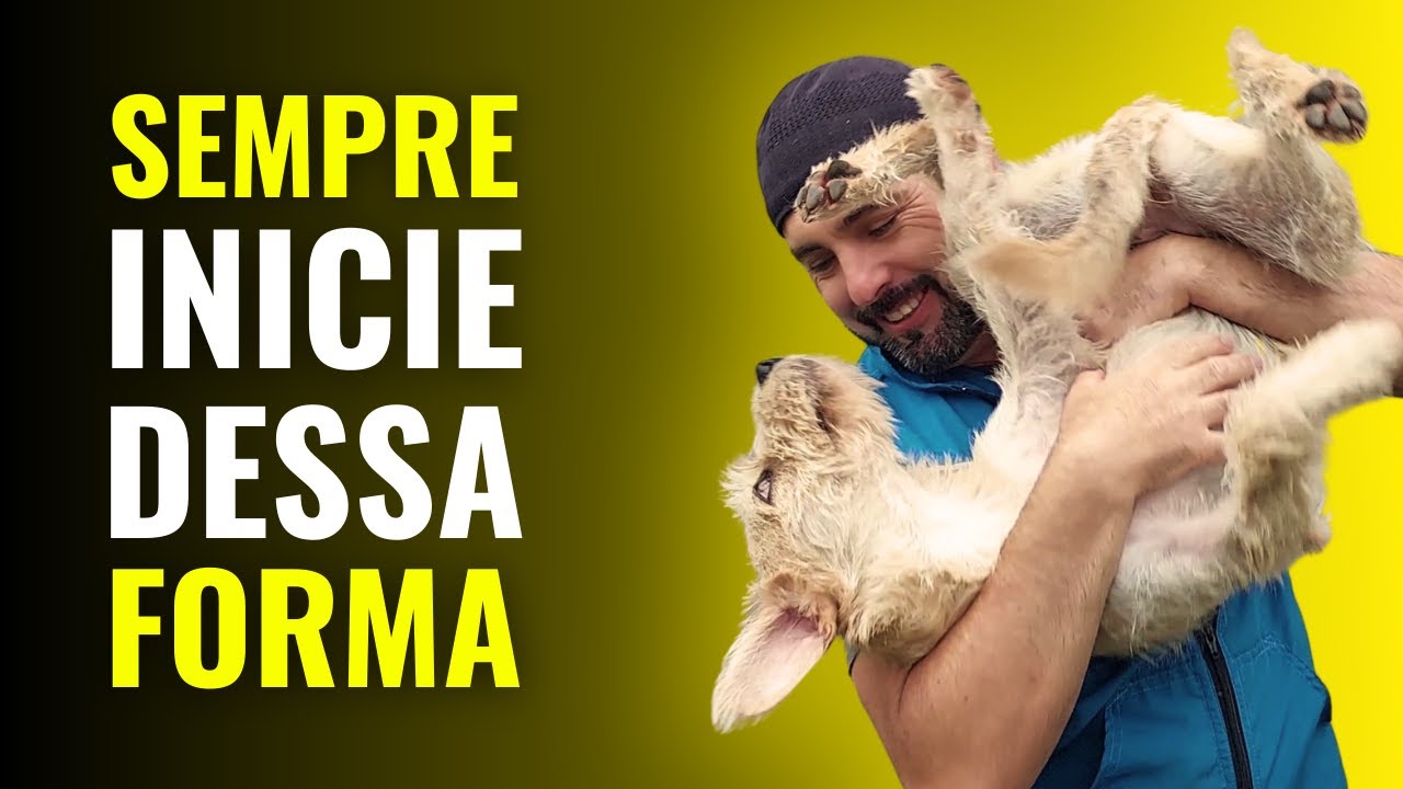 TÉCNICA para CONQUISTAR a ATENÇÃO e MELHORAR o VÍNCULO com seu cachorro