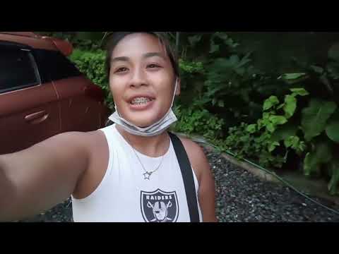 HOTEL | JULIA EVANGELINE UNITE